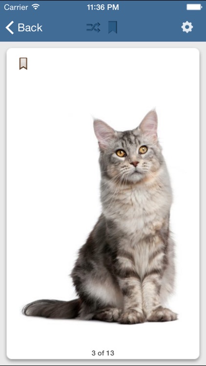 Flashcard X for Cram.com