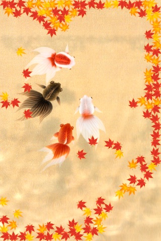 Wa Kingyo - Goldfish Pond screenshot 3