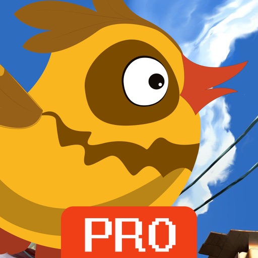 Crazy bird go pro icon