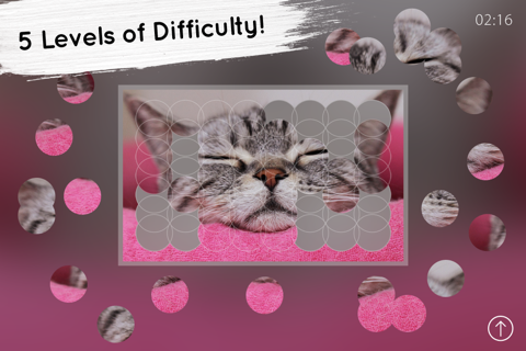 Venn Cats: Overlapping Jigsaw Puzzles screenshot 3