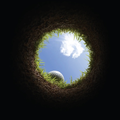 Hole in 1 Golf Edition Icon