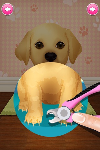 Pet Salon - Best Free Pet Game screenshot 3