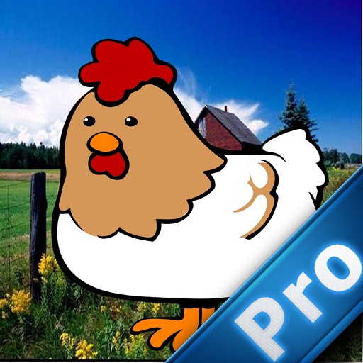 Magic Chicken Pro iOS App