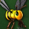 The Honey Bee