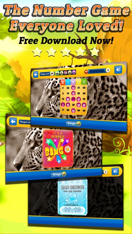 BINGO WILD - Play Online Casino and Number Card Game for