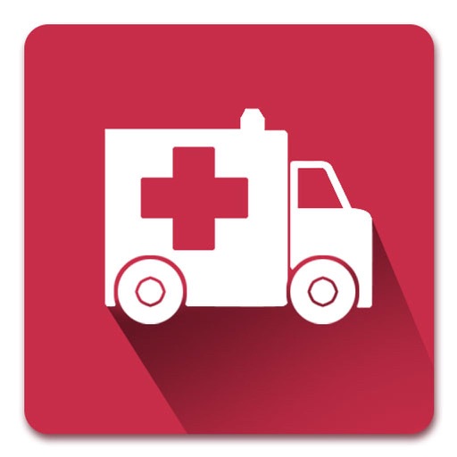 Ambulance Express 2D Icon