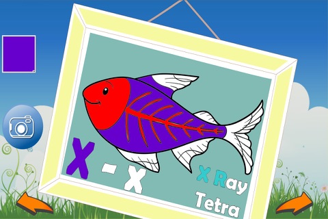 ABC Animal Coloring screenshot 2