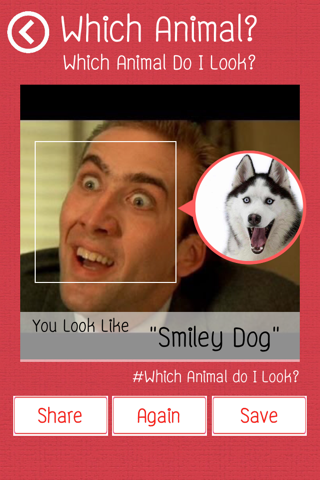 Which Animal Do I Look? screenshot 4