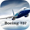 Boeing 737-700/800/NG System Knowledge & Type Rating Question Base Boeing 737-700/800/NG System Knowledge & Type Rating Question Base