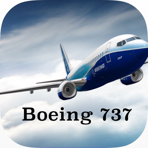 Boeing 737-700/800/NG System Knowledge & Type Rating Question Base