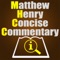 Over 1,200 pages of trusted Bible commentary with over 750 scripture references at your finger tips - fast and easy to use