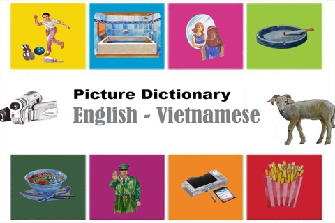 Picture English Vietnamese Dictionary screenshot 2