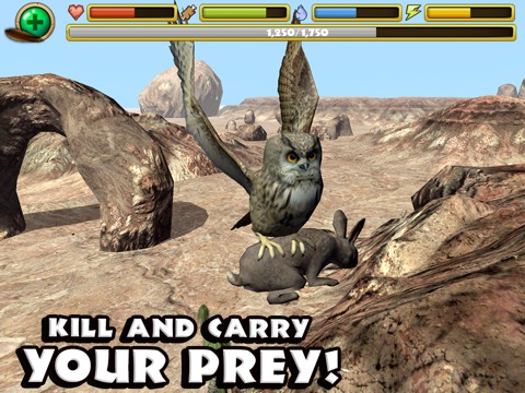 Игра Owl Simulator