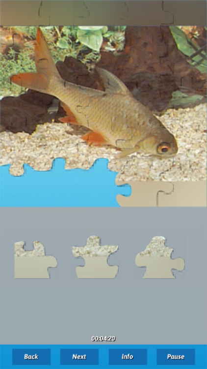 Fish Puzzles