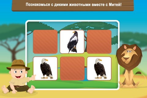 Milo's Free Photo Safari for Tots screenshot 4