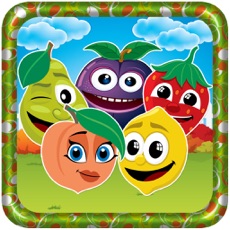 Activities of Fruit Splash Dash Legend