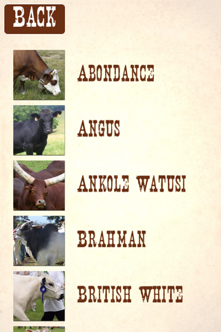 Cattle Breeds: Various Types of Cattle screenshot 2