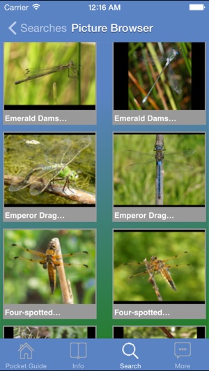 Pocket Guide UK Dragonflies(圖1)-速報App