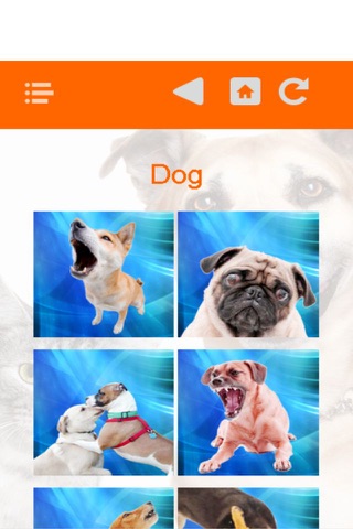 Dog cat animal cry laugh sing song funny sounds screenshot 2