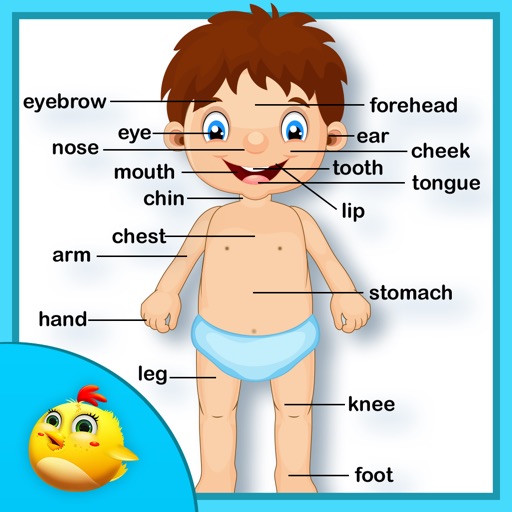 human body parts name with picture for kids