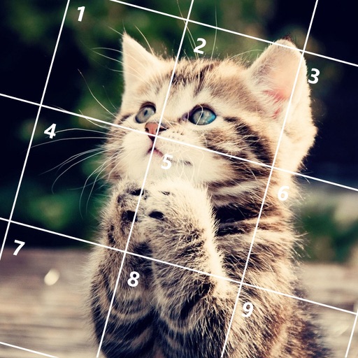 Cute Cats Jigsaw Puzzles Icon