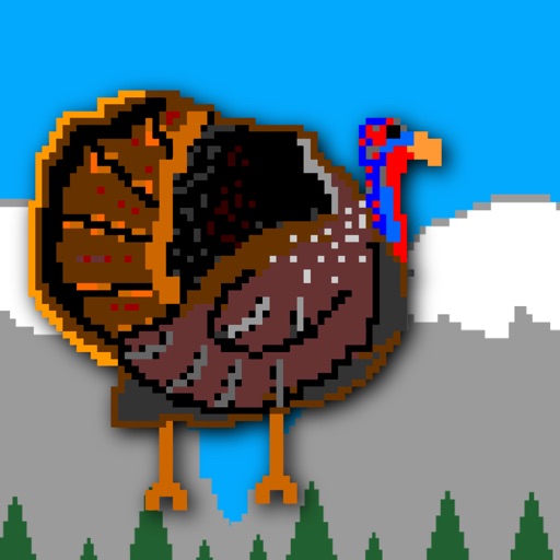 TurkeyBash iOS App