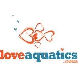 Love Aquatics Koi Carp