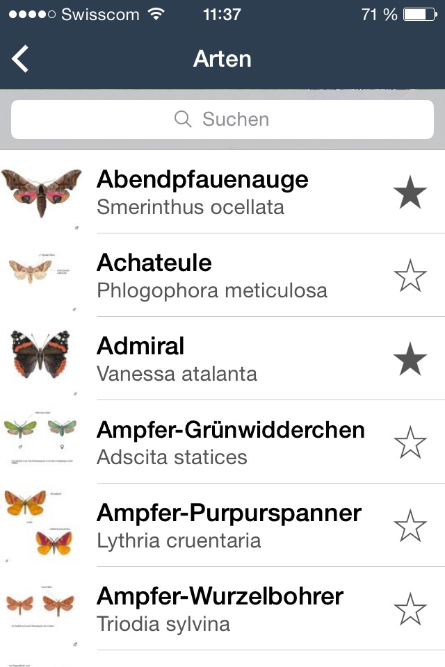 Tagaktive Schmetterlinge screenshot 2