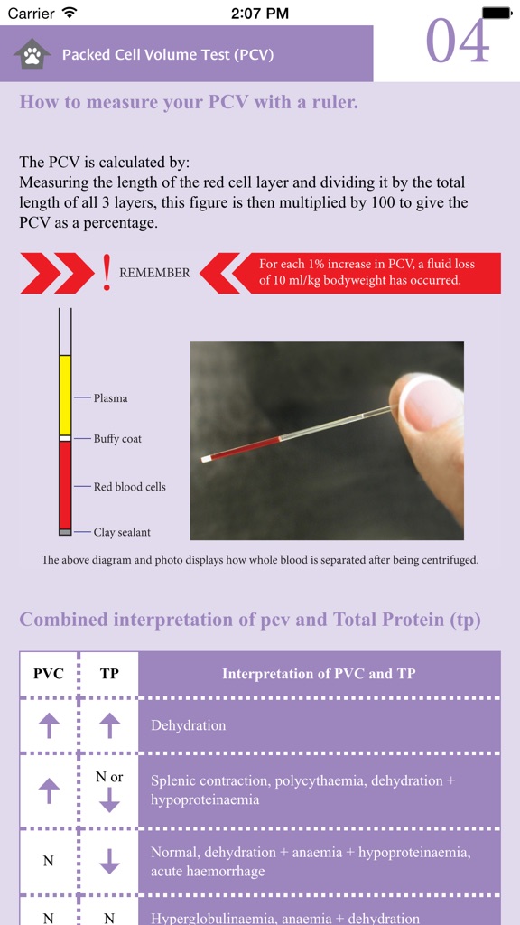 【图】Animal IV(截图3)