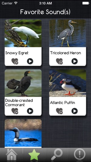 Bird Sounds - Ultimate Sounds Collections(圖2)-速報App