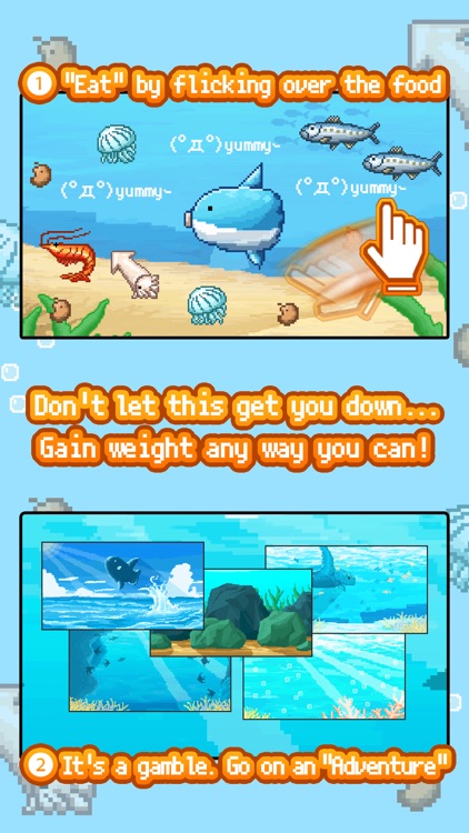 Survive! Mola Mola!