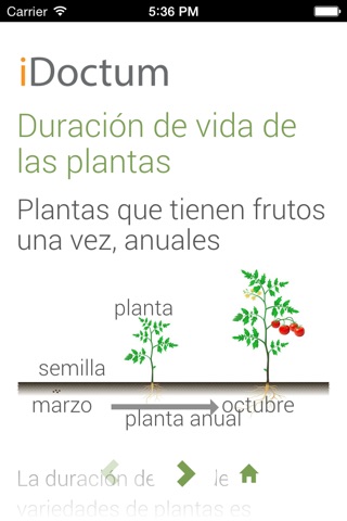 Biología - Plantas 2 screenshot 3