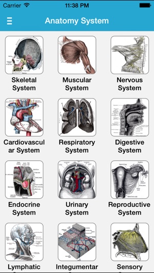 Gray's Anatomy Pro 2014(圖2)-速報App