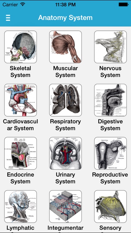 Gray's Anatomy Pro 2014