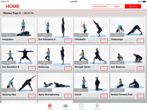 Vinyasa Yoga Lessons for iPad screenshot 2