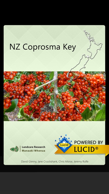 NZ Coprosma Key