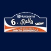 Rally Show Santa Domenica 2015