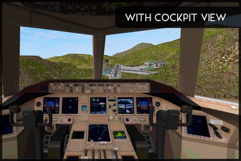 Avion Flight Simulator ™ screenshot 4