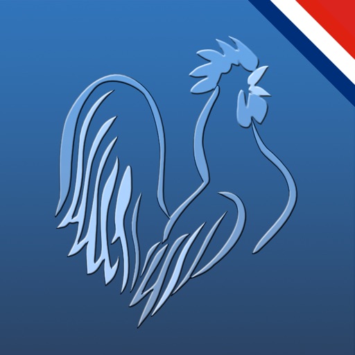 French Ligue Live 2014-2015 icon