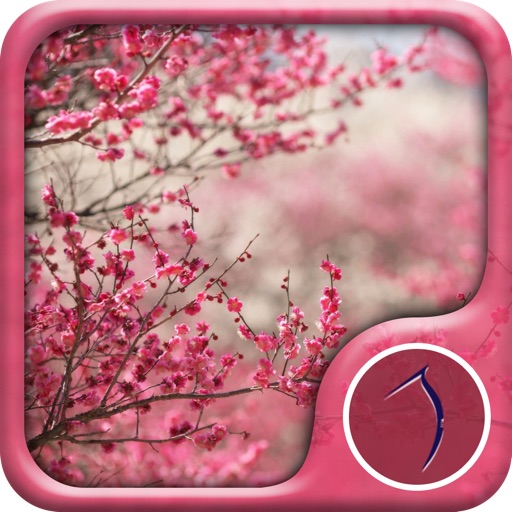 Sakura Wallpaper: Best HD Wallpapers iOS App