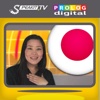JAPANESE - Speakit.tv (Video Course) (7X008ol)