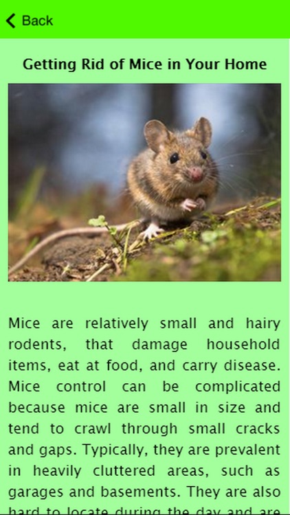 How To Get Rid Of Mice Guide