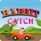 Rabbit Catch