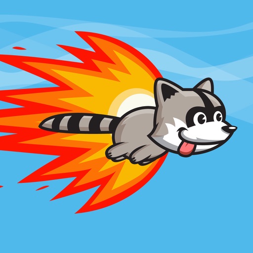 Raccoon Rocket Icon