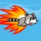 Raccoon Rocket