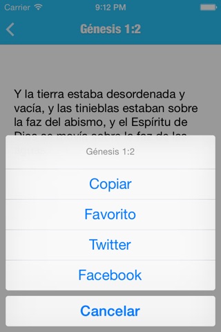 Concordancia Gratis screenshot 4