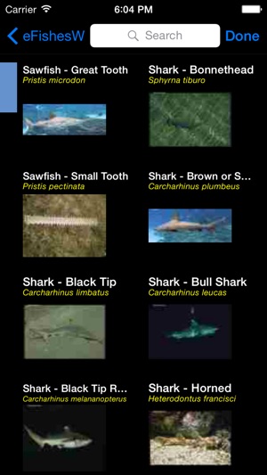 Fishes & Sharks of the World - A Fishes App(圖3)-速報App