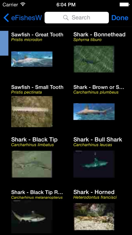 Fishes & Sharks of the World - A Fishes App