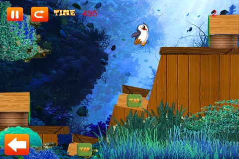 Penguin Plunge - Happy Water Maze Quest Paid screenshot 2