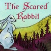 The Scared Rabbit